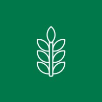 Nextgenouts logo - Similar company to Wirl