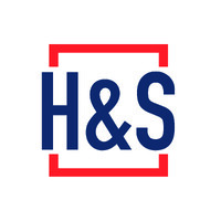 H&S Insights logo - Similar company to Visiontree