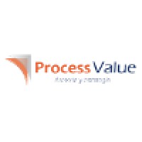 Process Value Services logo - Similar company to Value Process Management Consulting