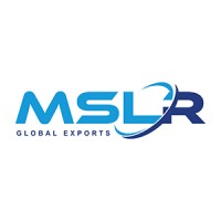 MSLR GLOBAL EXPORTS (INDIA) PVT LTD logo - Similar company to Intel Rides