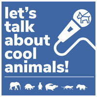 Let's Talk About Cool Animals! logo - Similar company to Zippycap