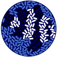 AquaBiomics logo - Similar company to Evergreen Aquatics