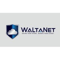 WaltaNet logo - Similar company to Interop
