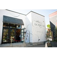 Hello Gorgeous Skin Lab logo - Similar company to Ishine Clinics