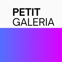 Petit Galeria logo - Similar company to Brilsol India