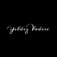 Yıldız Vadisi logo - Similar company to Startup Vadisi