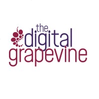 The Digital Grapevine - Website Design, Copywriting & Branding logo - Similar company to Kunal Mandalia Limited