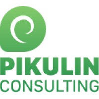 Pikulin Consulting logo - Similar company to Roi-Clouds