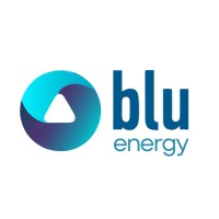 Blu Energy logo - Similar company to Risk Solutions