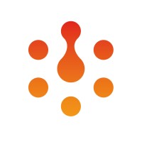 TiMaven logo - Similar company to Trendsic
