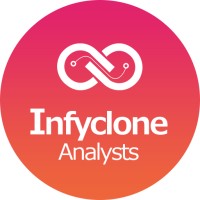 Infyclone Analysts logo - Similar company to Bhk It - Consulting & Services