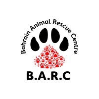Bahrain Animal Rescue Centre logo - Similar company to Nesma Studio