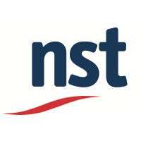 NetSole Technology logo - Similar company to Techbridge Solutions