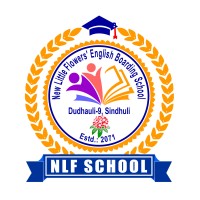 NLF School logo - Similar company to Blue Guard Me