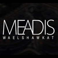 Meadis logo - Similar company to Namaa Exp