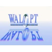 walopt_aero logo - Similar company to Q3S Engineering - Quality & Safety For Systems & Software