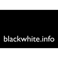 blackwhite.info logo - Similar company to Techgrit
