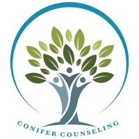 Conifer Counseling and Therapy Services logo - Similar company to Equal Access Public Media