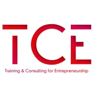 TCE Enterprise logo - Similar company to Qualitybox