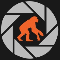 Content Monkeys