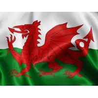 CIVIL ENGINEERING CONTRACTORS ASSOCIATION (WALES) LIMITED logo - Similar company to Future Valleys Project Co