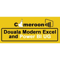 Douala Modern Excel and Power BI UG logo - Similar company to Institute Of Management And Information Technology Douala
