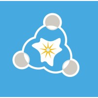 C.I.P Citizens In Power logo - Similar company to Center For Social Innovation - Csi