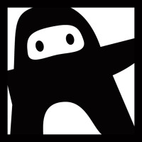 Nice Ninja