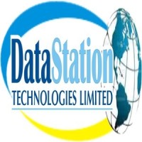 Data station Technologies Limited logo - Similar company to Data Machine Learning Academy