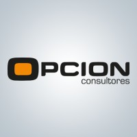 Opción Consultores logo - Similar company to In-Data