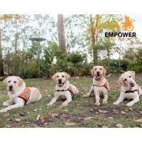Empower Assistance Dogs logo - Similar company to Therapy Dogs Australia