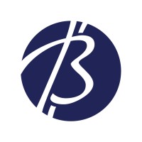 BitNational Inc. logo - Similar company to P2Pfi
