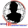 SHYAM HR MANAGEMENT SERVICES PVT. LTD. logo - Similar company to Mobhira Group
