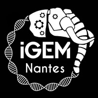 iGEM Nantes logo - Similar company to Nerass