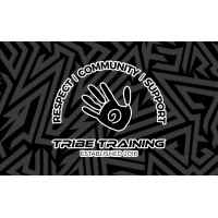 Tribe Training logo - Similar company to Intent91
