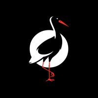 Storken Media logo - Similar company to Affinity Aim