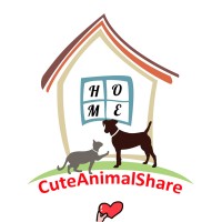 CuteAnimalShare logo - Similar company to Northwest Samoyed Rescue