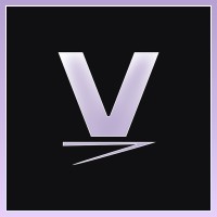 Visualize logo - Similar company to Teplinsky Law Group, Ltd.