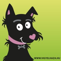 Vigyél Haza Alapítvány logo - Similar company to Aranybástya