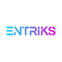 ENTRIKS logo - Similar company to Infiniteviu