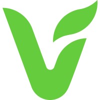 VIVA AI logo - Similar company to Dreamwriters