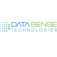 Datasense Technologies logo - Similar company to Zofix Digital Hub