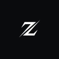 Zatech Solutions logo - Similar company to Techdot
