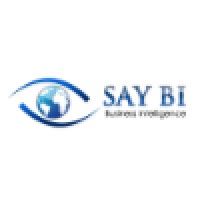 SAYBI Ltd, UK logo - Similar company to Digit