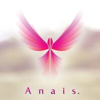 Asociația ANAIS logo - Similar company to Titu Maiorescu University