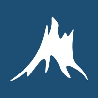 Alpina logo - Similar company to Leex.Cl