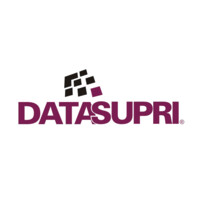 DATASUPRI logo - Similar company to Lepok A Sua Grande Papelaria