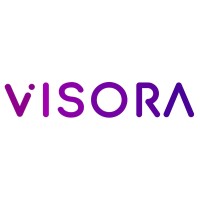 Visora logo - Similar company to Double Degrees