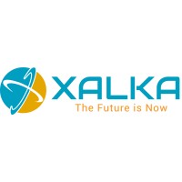 XALKA logo - Similar company to Afridigicom