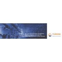 TURRINI logo - Similar company to David Lange